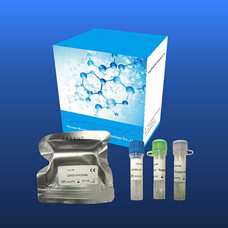 Drug Test Kit Reagent Diagnostic Test Kits For Covid-2019 For Real-time Pcr Platform